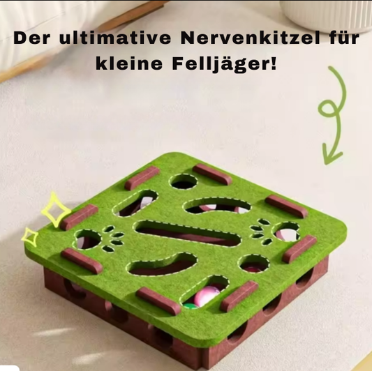 Katzen Puzzle Spielzeug
