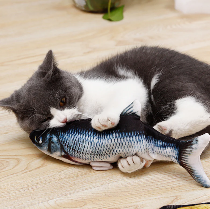 Fischspielzeug für Tiere